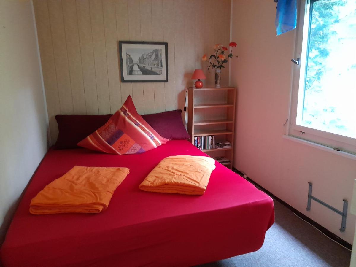 Bungalow Am Waldbad Villa Dahlen Exteriör bild